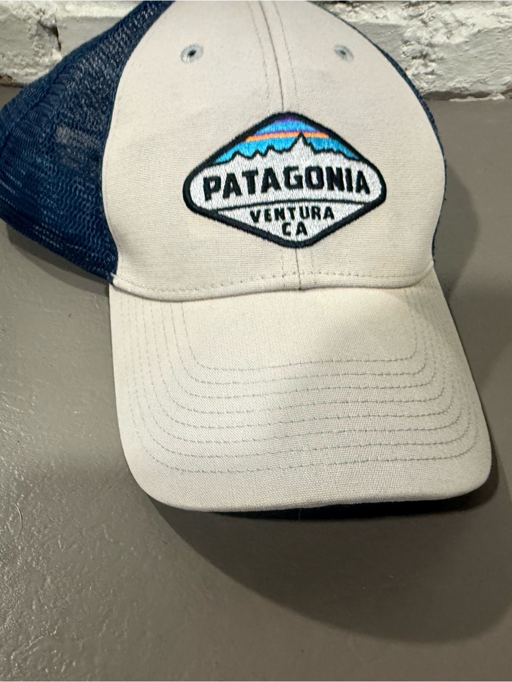 Patagonia Blue and Gray Trucker Hat with Mountain Patch